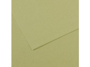 5li PK CANSON mi-teintes 160gr 50x65 PASTEL KAĞIDI ALMOND GREEN 480 