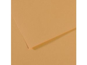 5li PK CANSON mi-teintes 160gr 50x65 FON KARTONU LİGHT HEMP 340