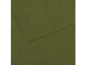 5li PK CANSON mi-teintes 160gr 50x65 PASTEL KAĞIDI  SEA GREEN 448 