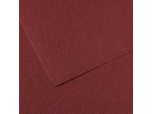 5li PK CANSON mi-teintes 160gr 50x65 PASTEL KAĞIDI WİNE 503