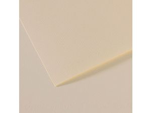 5Lİ PK CANSON mi-teintes 160gr 50x65 PASTEL KAĞIDI LİLY 110  