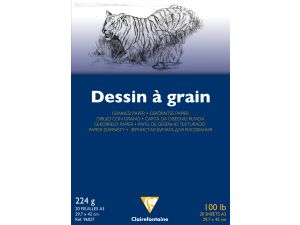 Clairefontaine Dessin a Grain İnce Dokulu Çizim Bloğu 20 Yaprak 224 gr. A3