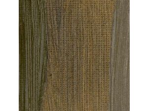 Daler Rowney Georgian  Yağlı Boya 38 ml  Raw Umber 247