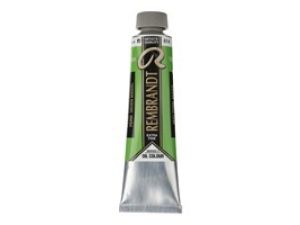 REMBRANDT   YAĞLI BOYA 40ML  614  GREEN MEDIUM (SERİ 3)