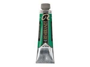 REMBRANDT  YAĞLI BOYA 40ML 619  PERM. GREEN DEEP (SERİ 3 )