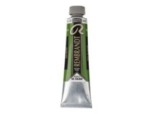 Rembrandt Yağlı Boya 40 ml Sap Green 623  (SERİ 2)