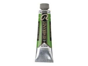 Rembrandt Yağlı Boya 40 ml Cinnabar Green  Med 625 (SERİ 2)