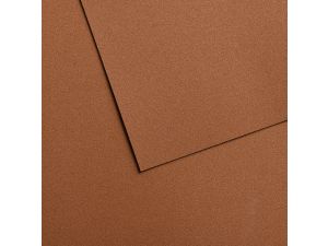 Canson Velvet Kadife Pastel Kağıdı 430gr  50x65 Kahverengi 605  5 li Pk