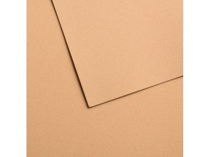 Canson Velvet Kadife Pastel Kağıdı 430gr  50x65 Altın Bej 603 5 li Pk